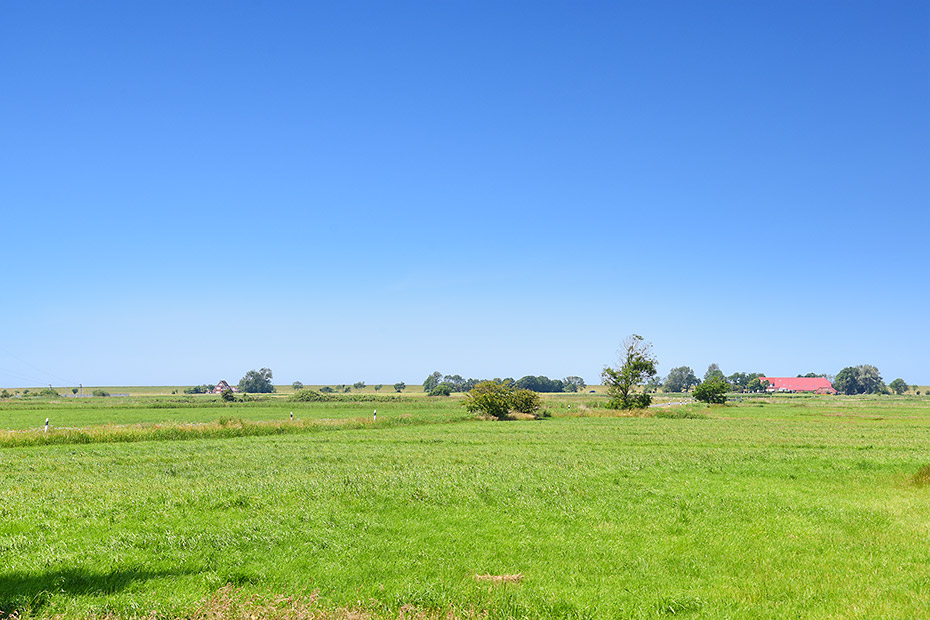 Foto aus der Fotogruppe 