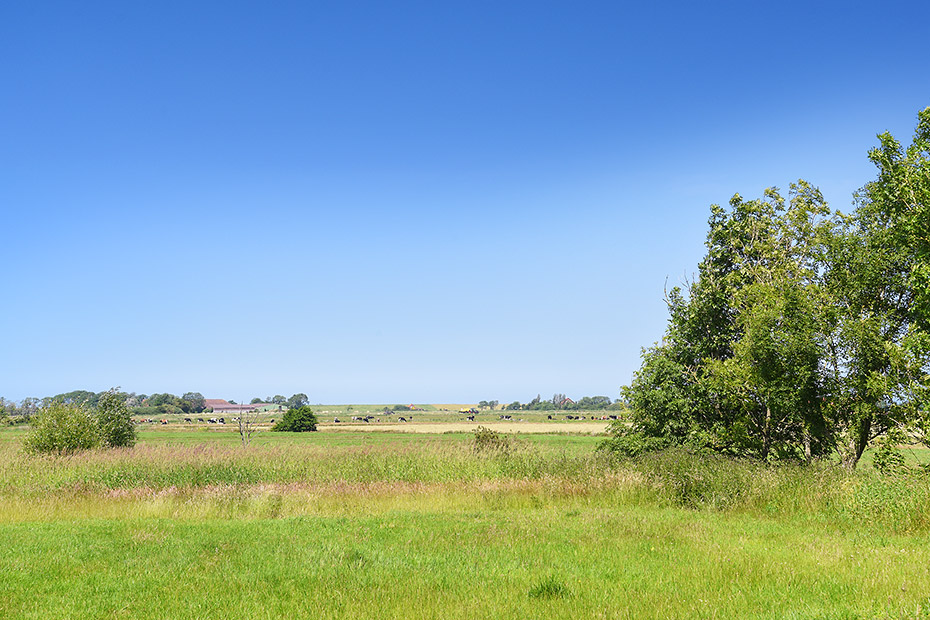 Foto aus der Fotogruppe 