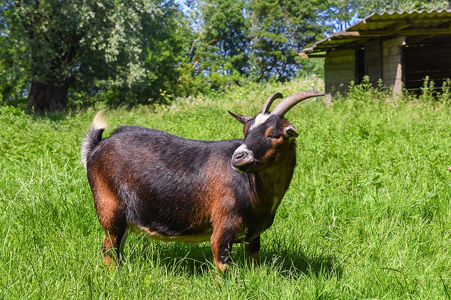 Foto aus der Fotogruppe 