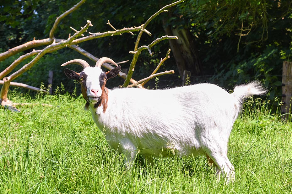 Foto aus der Fotogruppe 