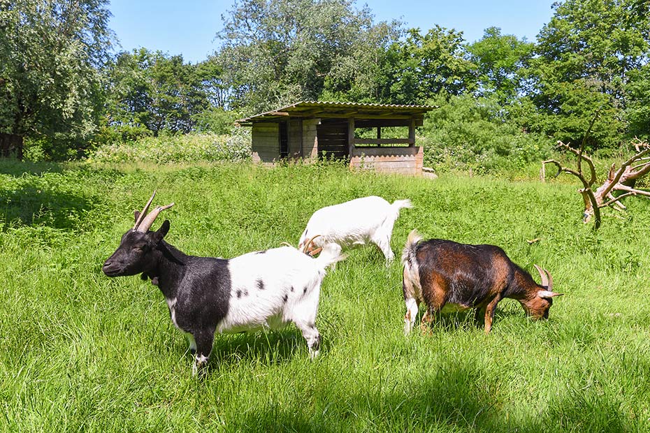 Foto aus der Fotogruppe 