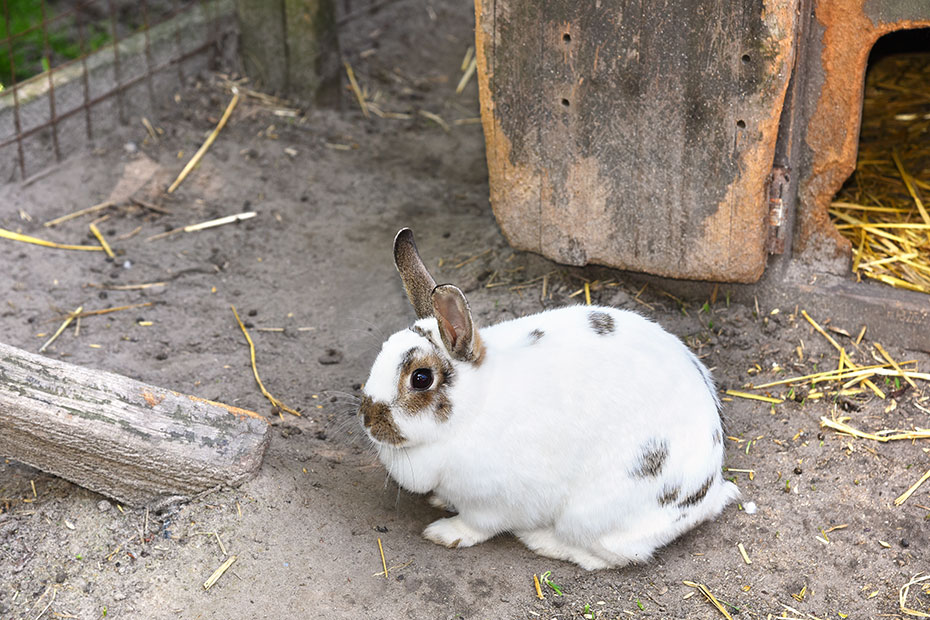 Foto aus der Fotogruppe 