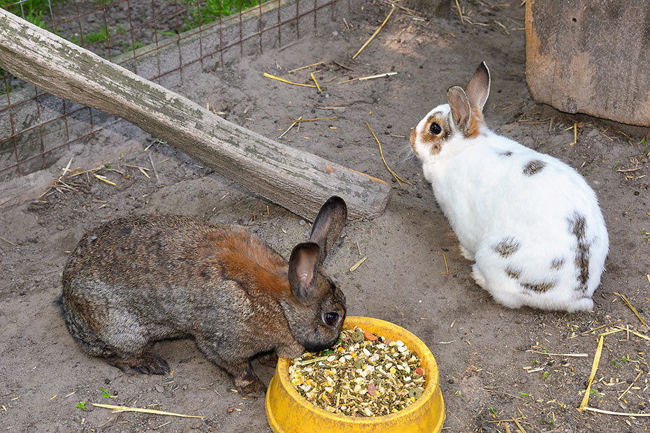 Foto aus der Fotogruppe 